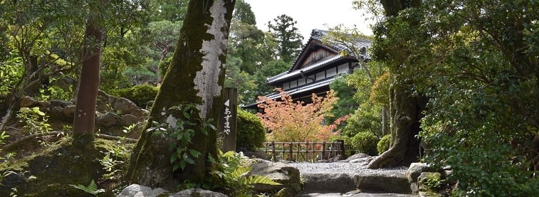 Japanese temple in forest