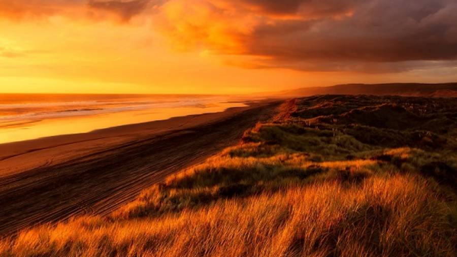 Golden lit sunset over sea and beach in New Zealand