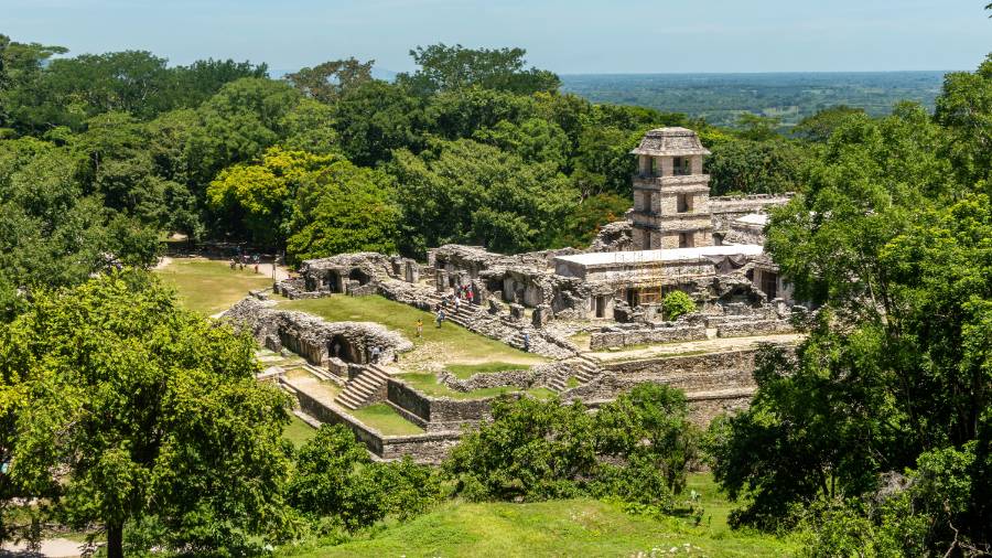 Green trees with Mayan temple and grass field