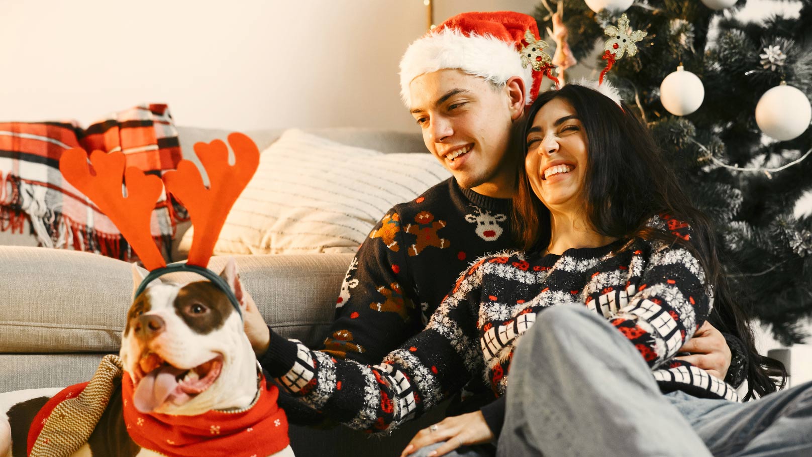 Couple and dog in christmas jumpers